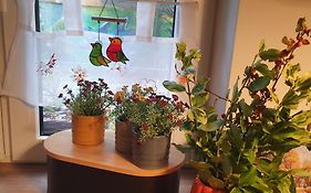 Apartamenty Magiczna Wenecja